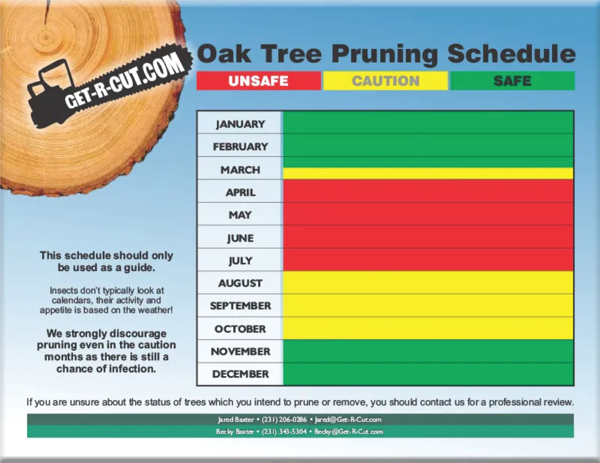 Expert Tree Pruning Services in West Michigan